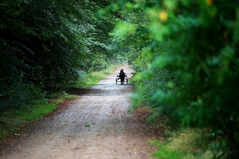 Park Drentheland