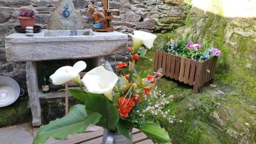 Agroturismo Casa De Aldea La Galea