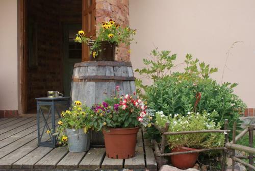 Hostal Swojski Go?ciniec