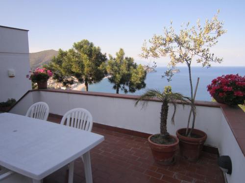 Apartamento Noli Terraces