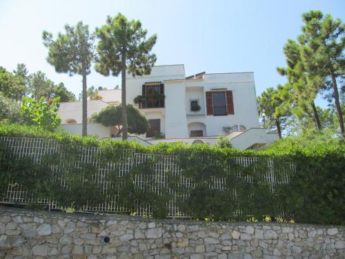 Apartamento Noli Terraces