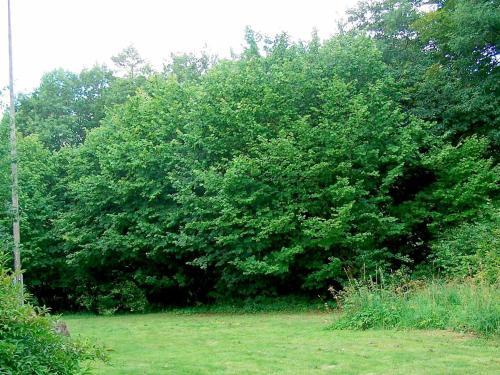 Two-bedroom Holiday Home In Laholm 2