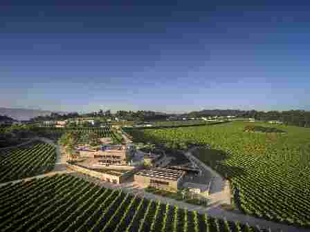 Monverde - Wine Experience Hotel