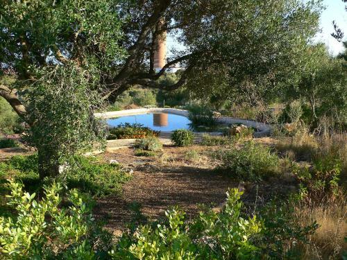 Villa Juli�