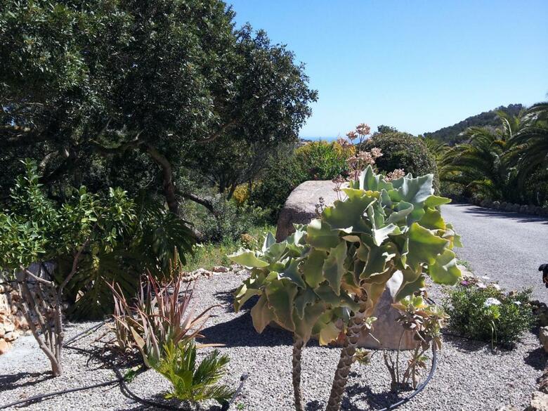 Hotel Agroturisme Es Picot