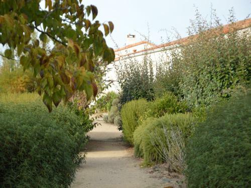 Talmont St Hilaire