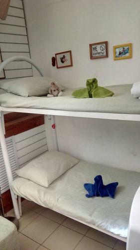 Hostel Meridian