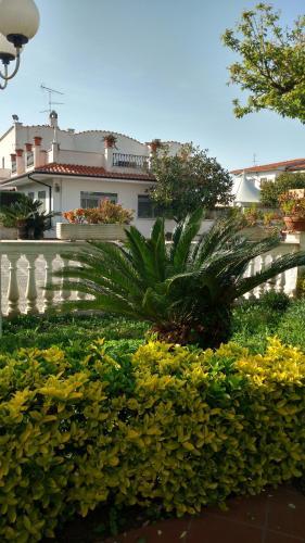 Bed & Breakfast Hotel Vittoria