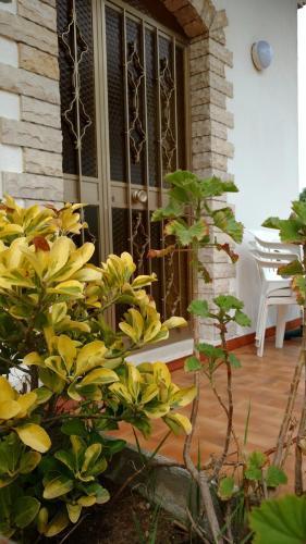 Bed & Breakfast Hotel Vittoria