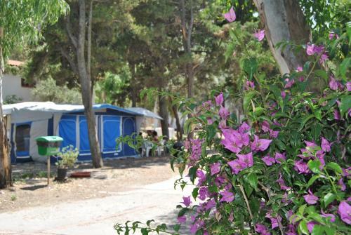 Camping B&B Gioiosa