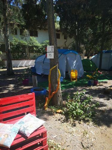 Camping B&B Gioiosa