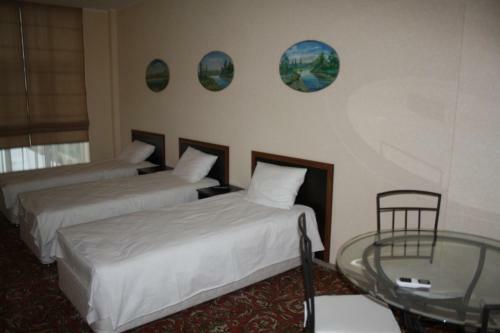 Hotel Timosha
