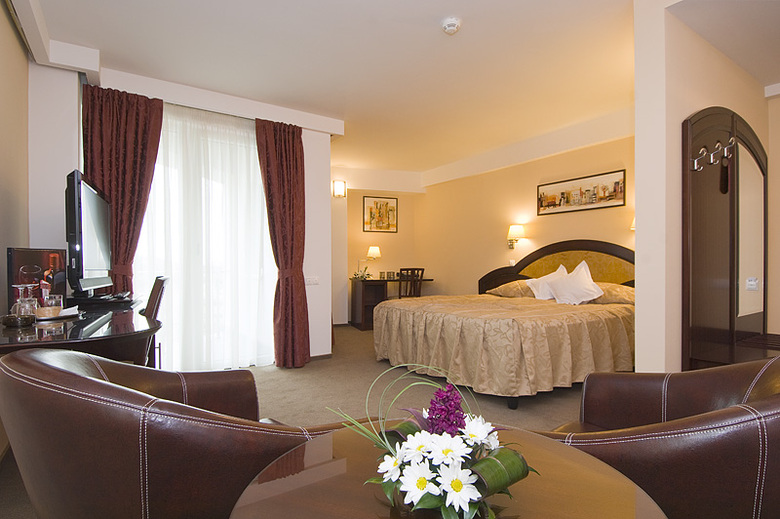 Hotel Ambient
