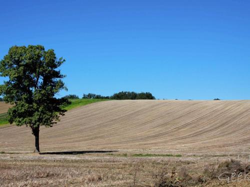 Maison De Vacances - Vielle-st-girons
