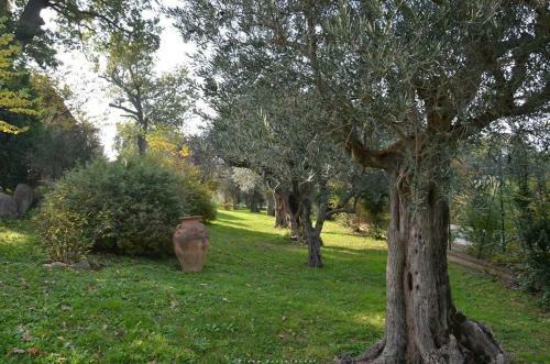 Bed & Breakfast Casale Il Cerqueto