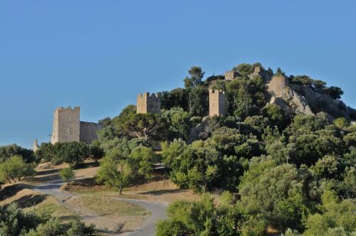 Hotel Le Mediterran�e