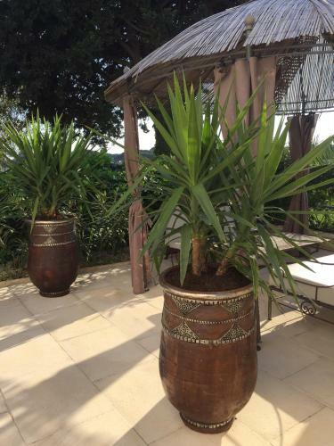 Hotel Le Mediterran�e