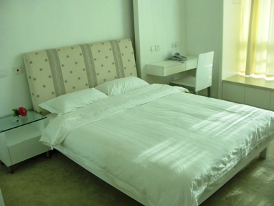 Aparthotel International Service Apartments