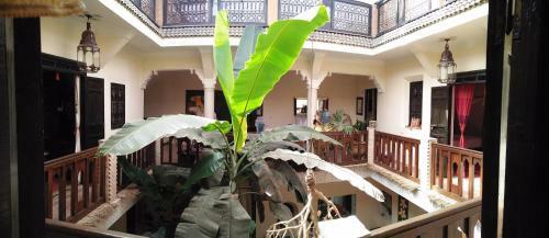 Albergue Riad Nomades