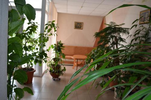 Hotel Sfinks