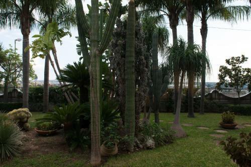 Bed & Breakfast Temenos