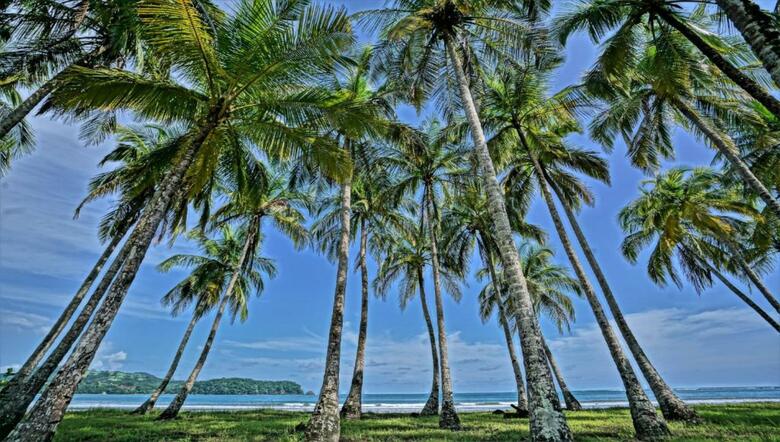 Hotel Nammb� Beach Front Bungalows