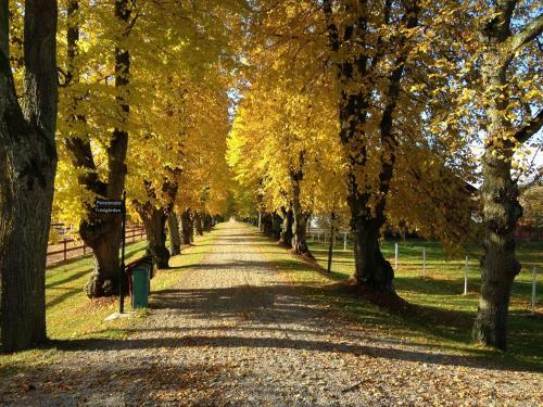 Hostal Runnvikens Pensionat