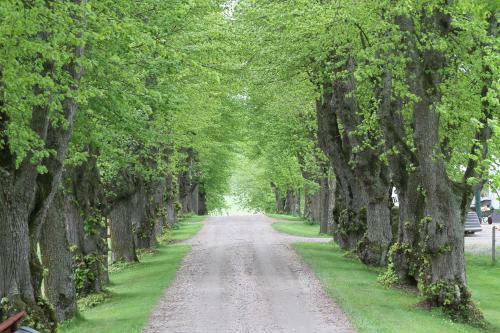 Hostal Runnvikens Pensionat