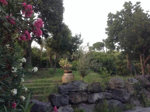 Apartamento Appartamento San Gaetano