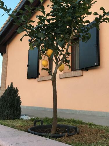 La Corte D'emilio B&B