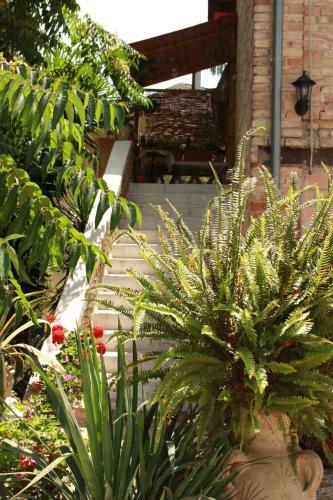Bed & Breakfast Maison Diamanti