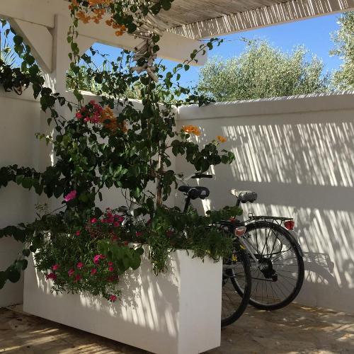 L'ulivo Bed And Breakfast