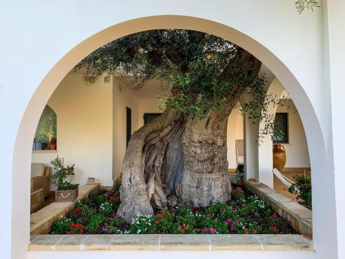 L'ulivo Bed And Breakfast