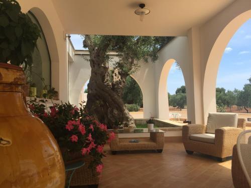 L'ulivo Bed And Breakfast