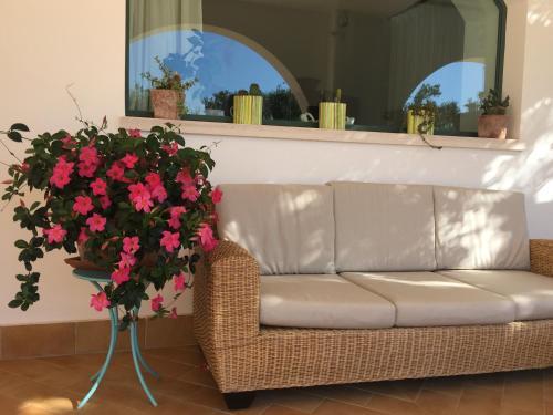 L'ulivo Bed And Breakfast