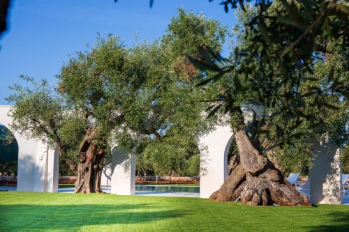 L'ulivo Bed And Breakfast