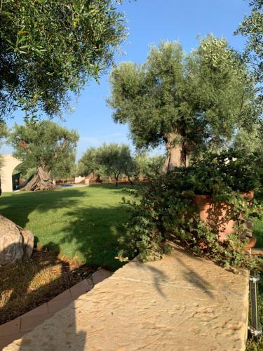 L'ulivo Bed And Breakfast