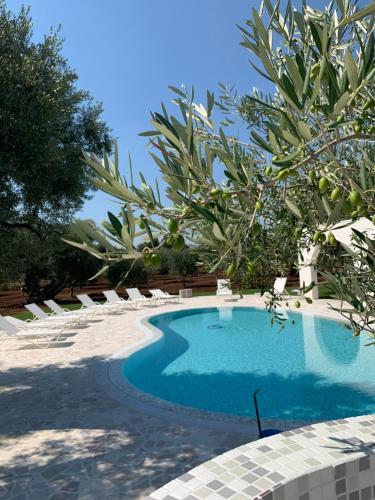 L'ulivo Bed And Breakfast