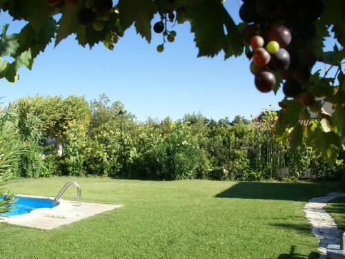 Maison De Vacances - Noves 2