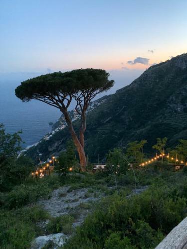 Bed & Breakfast Sant'alfonso