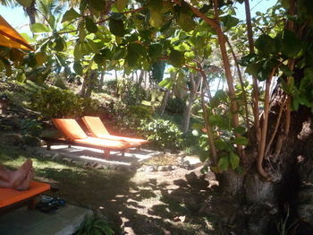Vanila Hotel & Spa