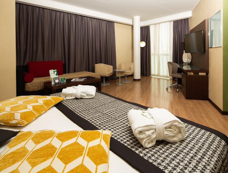 Hotel Holiday Inn Turin Corso Francia