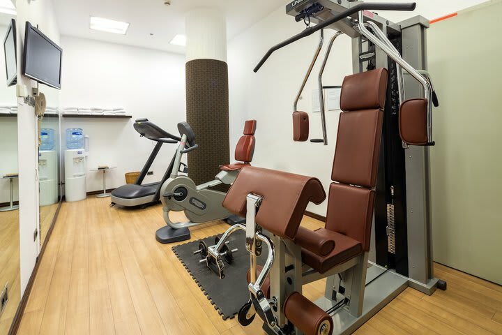 Hotel Holiday Inn Turin Corso Francia