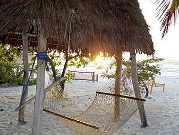 Hotel Twisted Palms Lodge & Restaurant