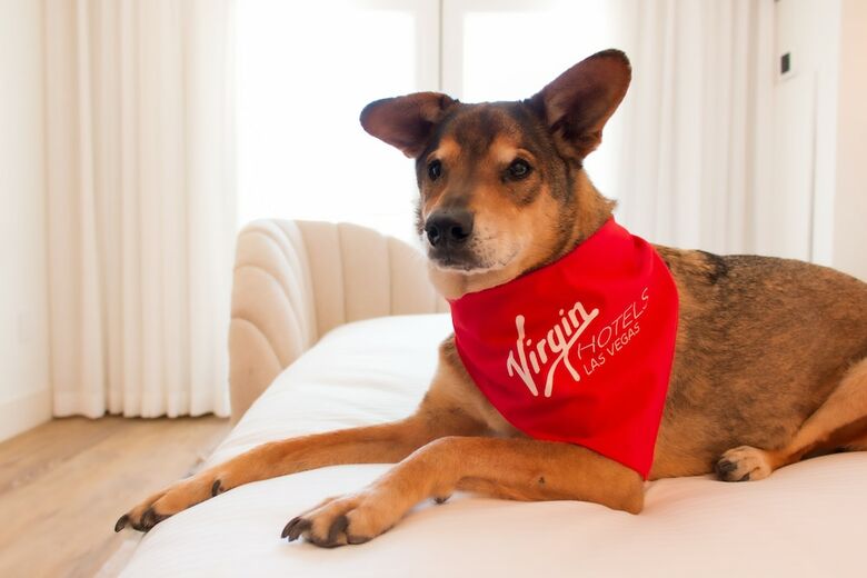 Virgin Hotels Las Vegas, Curio Collection By Hilton