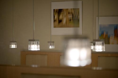 Hotel Methis
