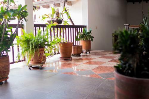 Hotel Las Nieves