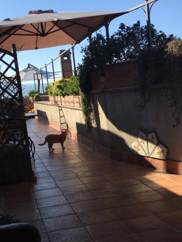 Bed & Breakfast Montalbano
