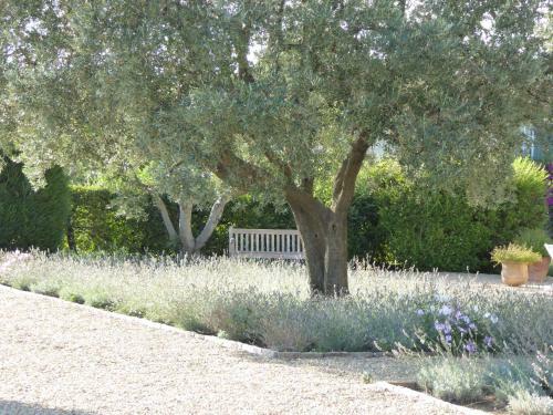 Hotel H�tel La Figui�re