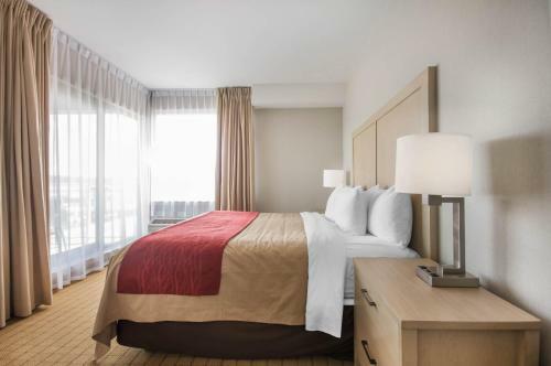 Hotel Comfort Inn & Suites